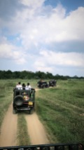 minneriya, elephant safari, jeeps, sri lanka tourism